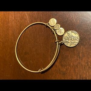 Alex and Ani gold bangle - Aunt